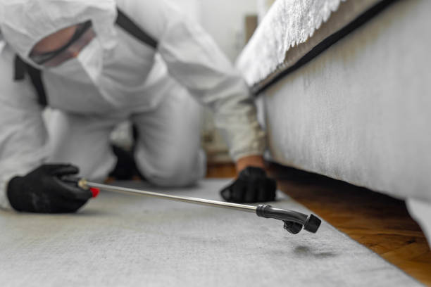 Professional Cockroach Control technician working in Mackinac County County, MI